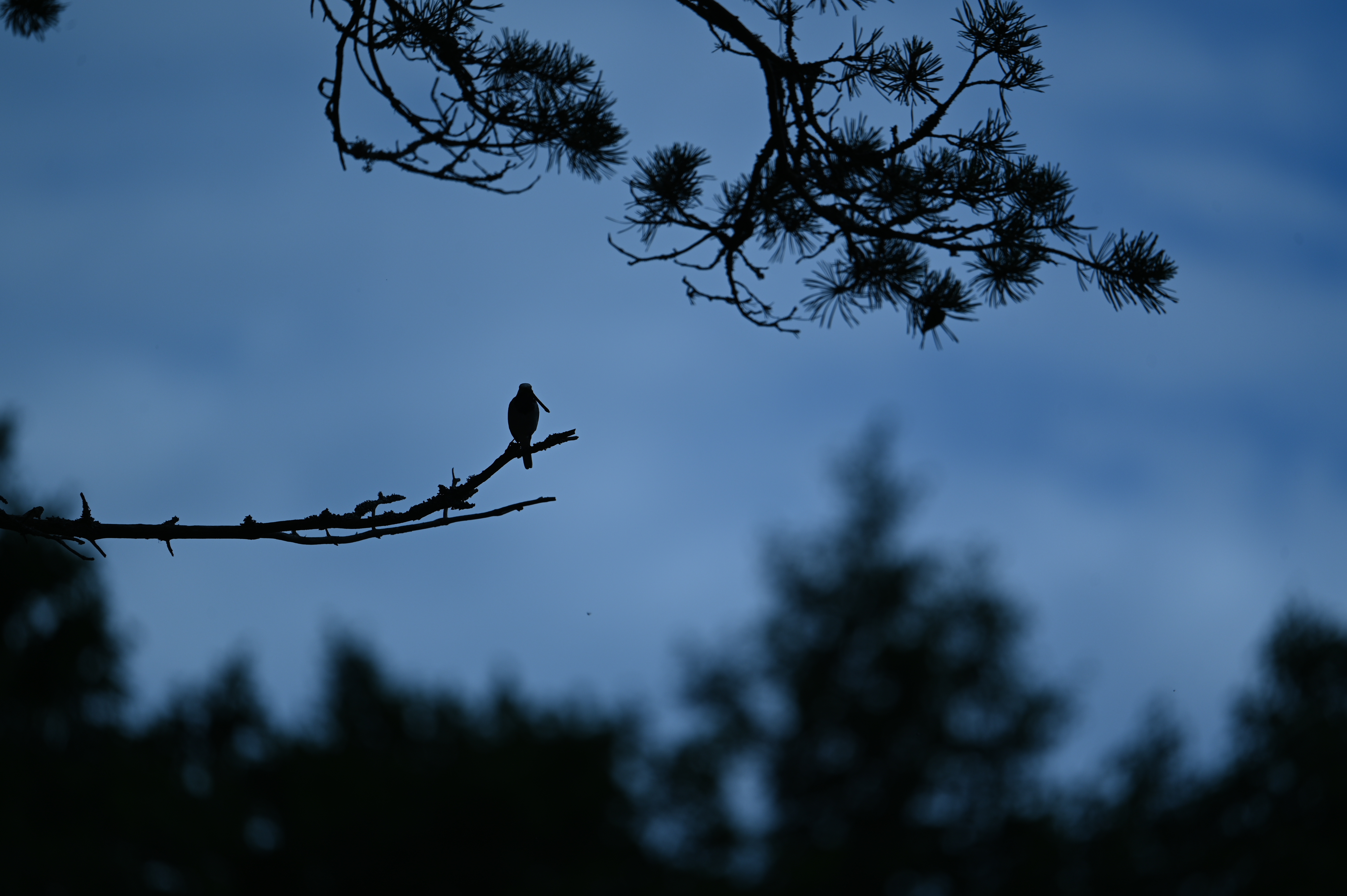 2025/07/09-14 - trip/DSC_0365.JPG